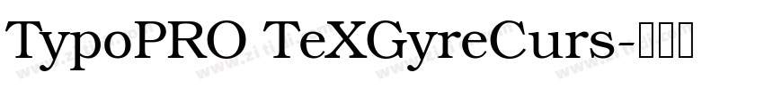 TypoPRO TeXGyreCurs字体转换 TypoPRO TeXGyreCurs字体转换